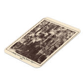 カリフォルニア州サンタクルーズ,ヘンリー・コーウェル・パーク1903 マグネット (左側)