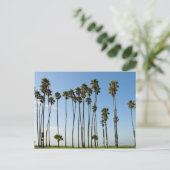 カリフォルニア州サンタバーバラ，カブリロ通り ポストカード (スタンド正面)