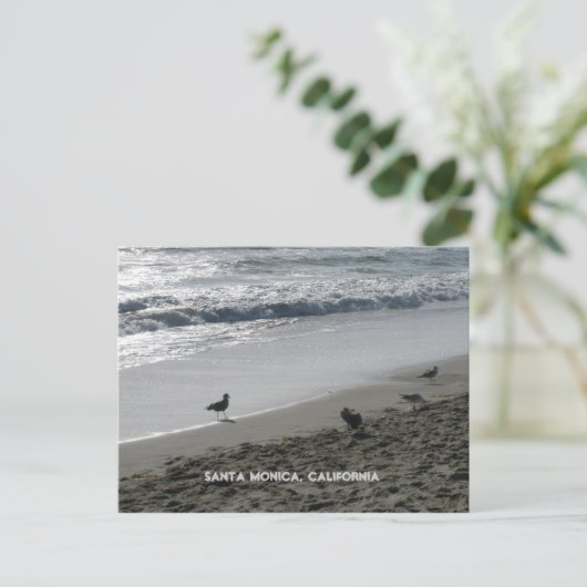 カリフォルニア州サンタモニカはがき ポストカード (スタンド正面)