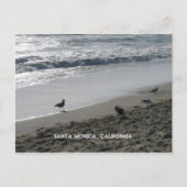 カリフォルニア州サンタモニカはがき ポストカード (正面)