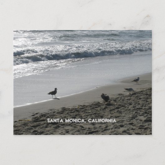 カリフォルニア州サンタモニカはがき ポストカード (正面)