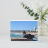 カリフォルニア州サンタモニカ ポストカード (スタンド正面)