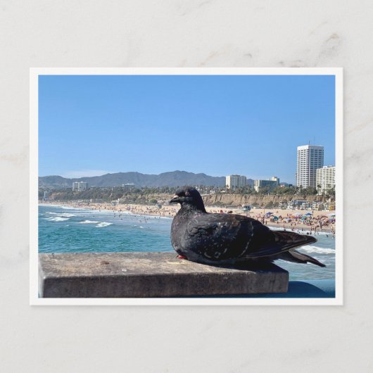 カリフォルニア州サンタモニカ ポストカード (正面)