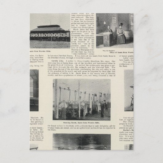 カリフォルニア州サンタローザ ポストカード (正面)