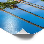 カリフォルニア州サンディエゴのヤシの木 フォトプリント            (角)