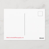 カリフォルニア州サンディエゴはがき ポストカード (裏面)