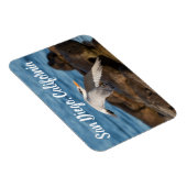 カリフォルニア州サンディエゴを飛ぶTern Fly マグネット (右側)