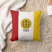 カリフォルニア州サンディエゴ国旗 クッション (ブランケット)