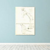 カリフォルニア州サンディエゴ キャンバスプリント (インサイチュ (ウッドフロア))