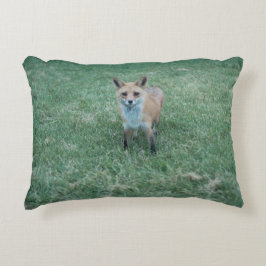 カリフォルニア州サンノゼにあるレッドフォックス アクセントクッション