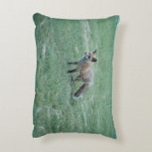 カリフォルニア州サンノゼにあるレッドフォックス アクセントクッション (裏面(縦))