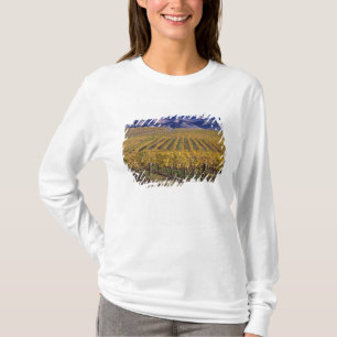 カリフォルニア州サンルイスオビスポ郡エドナバレー Tシャツ