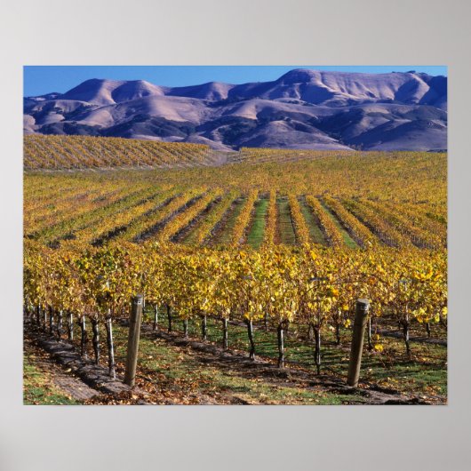 カリフォルニア州サンルイス・オビスポ郡エドナ・バレー ポスター (正面)