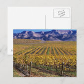 カリフォルニア州サンルイス・オビスポ郡エドナ・バレー ポストカード (正面/裏面)