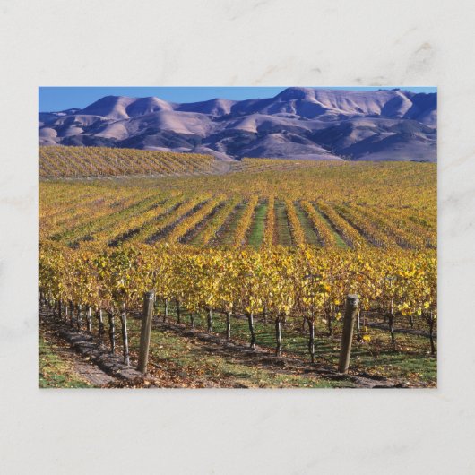 カリフォルニア州サンルイス・オビスポ郡エドナ・バレー ポストカード (正面)