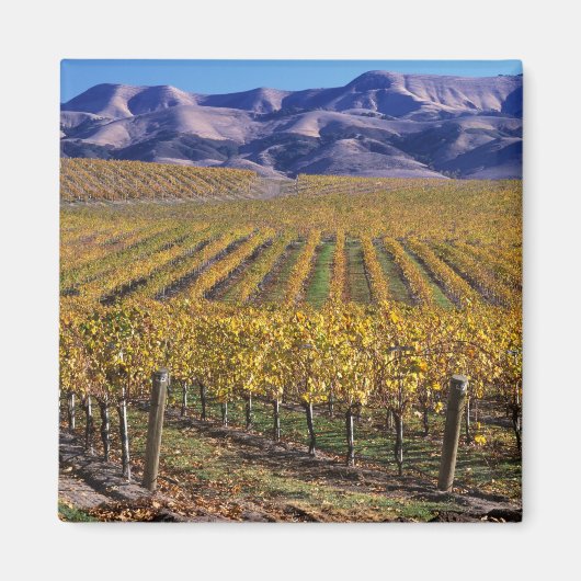 カリフォルニア州サンルイス・オビスポ郡エドナ・バレー マグネット (正面)