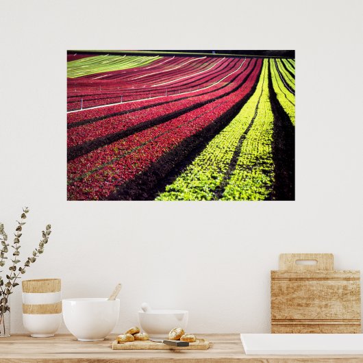 カリフォルニア州サンルイス・オビスポ郡レッドとグリーンのレタス ポスター (キッチン)