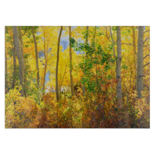 カリフォルニア州シエラネバダ山脈の紅葉のポプラ並木 カッティングボード