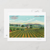 カリフォルニア州ジャルスバーグヴィネヤードナパの景色 ポストカード (正面/裏面)