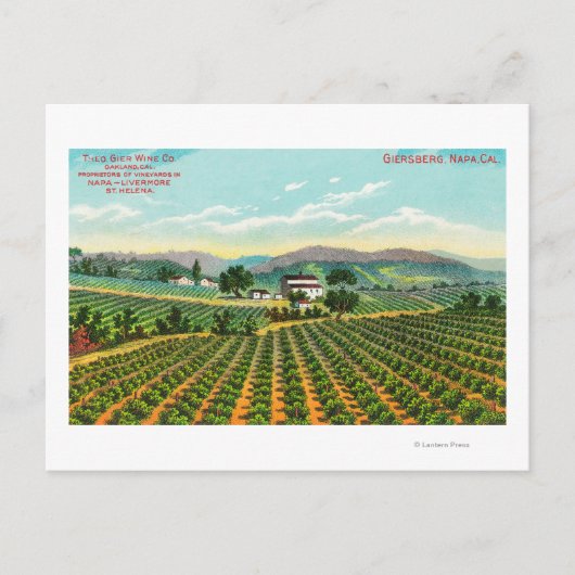 カリフォルニア州ジャルスバーグヴィネヤードナパの景色 ポストカード (正面)