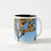 カリフォルニア州ジョシュアツリー国立公園米国 ツートーンマグカップ (正面右)