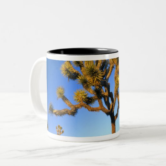 カリフォルニア州ジョシュアツリー国立公園米国 ツートーンマグカップ (正面左)