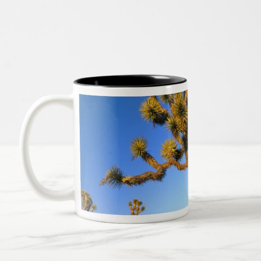 カリフォルニア州ジョシュアツリー国立公園米国 ツートーンマグカップ (左)
