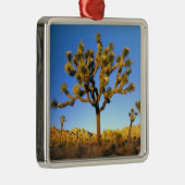 カリフォルニア州ジョシュアツリー国立公園米国 メタルオーナメント (右)