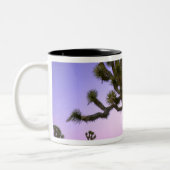 カリフォルニア州ジョシュアツリー国立公園。米国 ツートーンマグカップ (左)