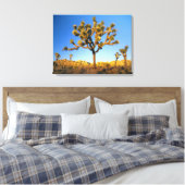 カリフォルニア州ジョシュア・ツリー国立公園。アメリカ。 キャンバスプリント (インサイチュ (寝室))