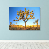 カリフォルニア州ジョシュア・ツリー国立公園。アメリカ。 キャンバスプリント (インサイチュ (ウッドフロア))