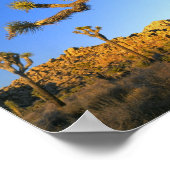 カリフォルニア州ジョシュア・ツリー国立公園。アメリカ。 ポスター (角)