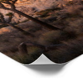 カリフォルニア州ジョシュア・ツリー国立公園 ポスター (角)