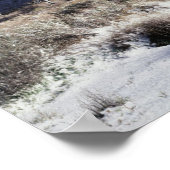 カリフォルニア州ジョシュア・ツリー国立公園 ポスター (角)