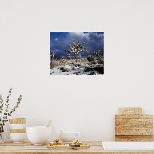 カリフォルニア州ジョシュア・ツリー国立公園 ポスター (キッチン)