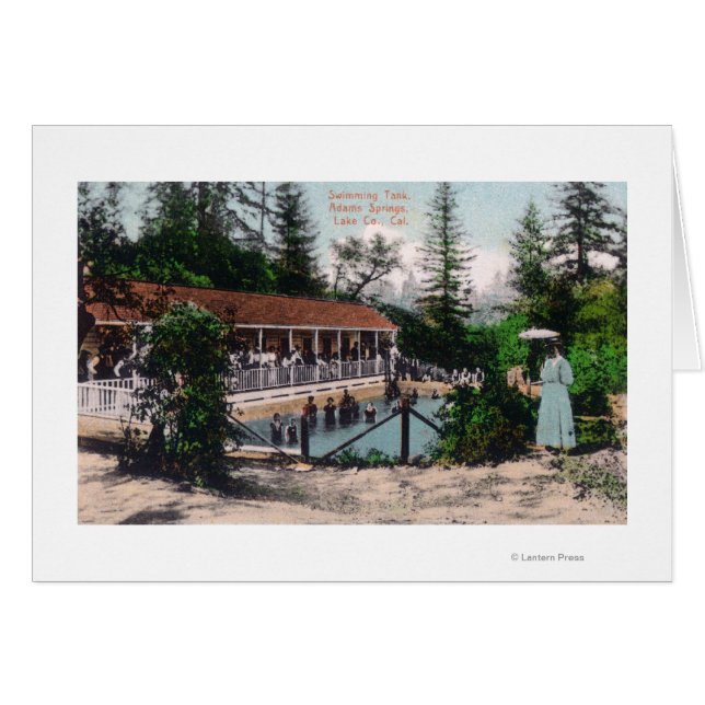 カリフォルニア州スイミングプールアダムス春の表示 (正面横)