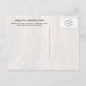 カリフォルニア州セコイア国立公園ジャイアントセコイア ポストカード (裏面)