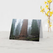 カリフォルニア州セコイア州シャーマンツリー カード (黄色い花)