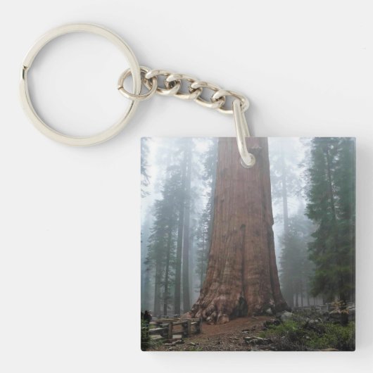 カリフォルニア州セコイア州シャーマンツリー キーホルダー (正面)