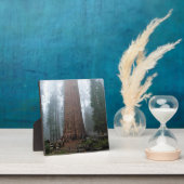 カリフォルニア州セコイア州シャーマンツリー フォトプラーク (インサイチュ)