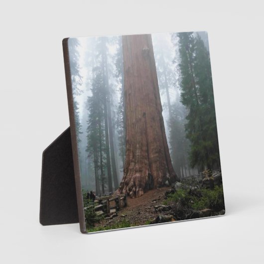 カリフォルニア州セコイア州シャーマンツリー フォトプラーク (正面)