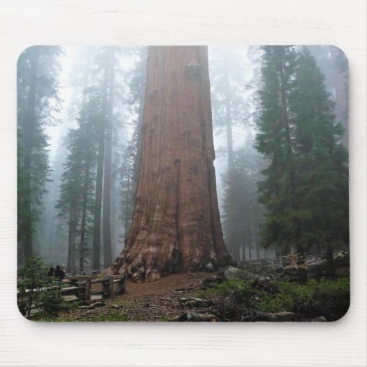 カリフォルニア州セコイア州シャーマンツリー マウスパッド (正面)