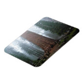 カリフォルニア州セコイア州シャーマンツリー マグネット (左側)