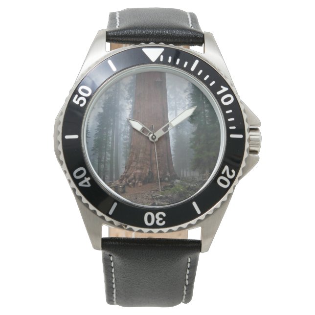 カリフォルニア州セコイア州シャーマンツリー 腕時計 (正面)