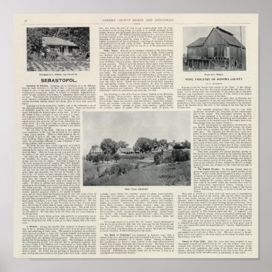 カリフォルニア州セバストポリ ポスター (正面)