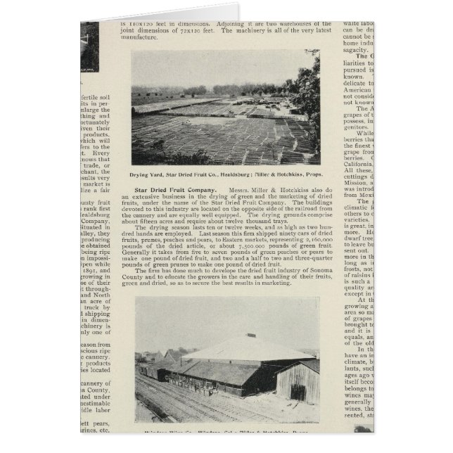 カリフォルニア州ソノマ郡 (正面)