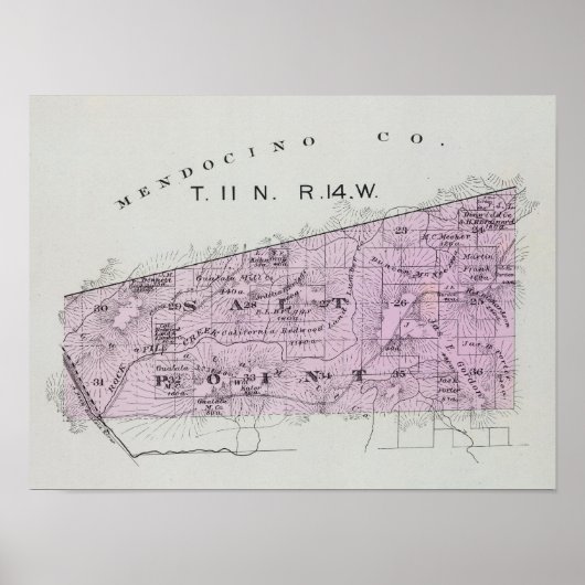 カリフォルニア州ソノマ郡36 ポスター (正面)