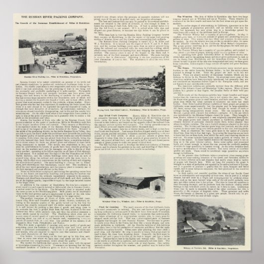 カリフォルニア州ソノマ郡 ポスター (正面)