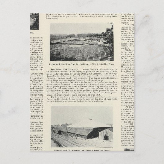 カリフォルニア州ソノマ郡 ポストカード (正面)