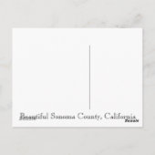 カリフォルニア州ソノマ郡 ポストカード (裏面)